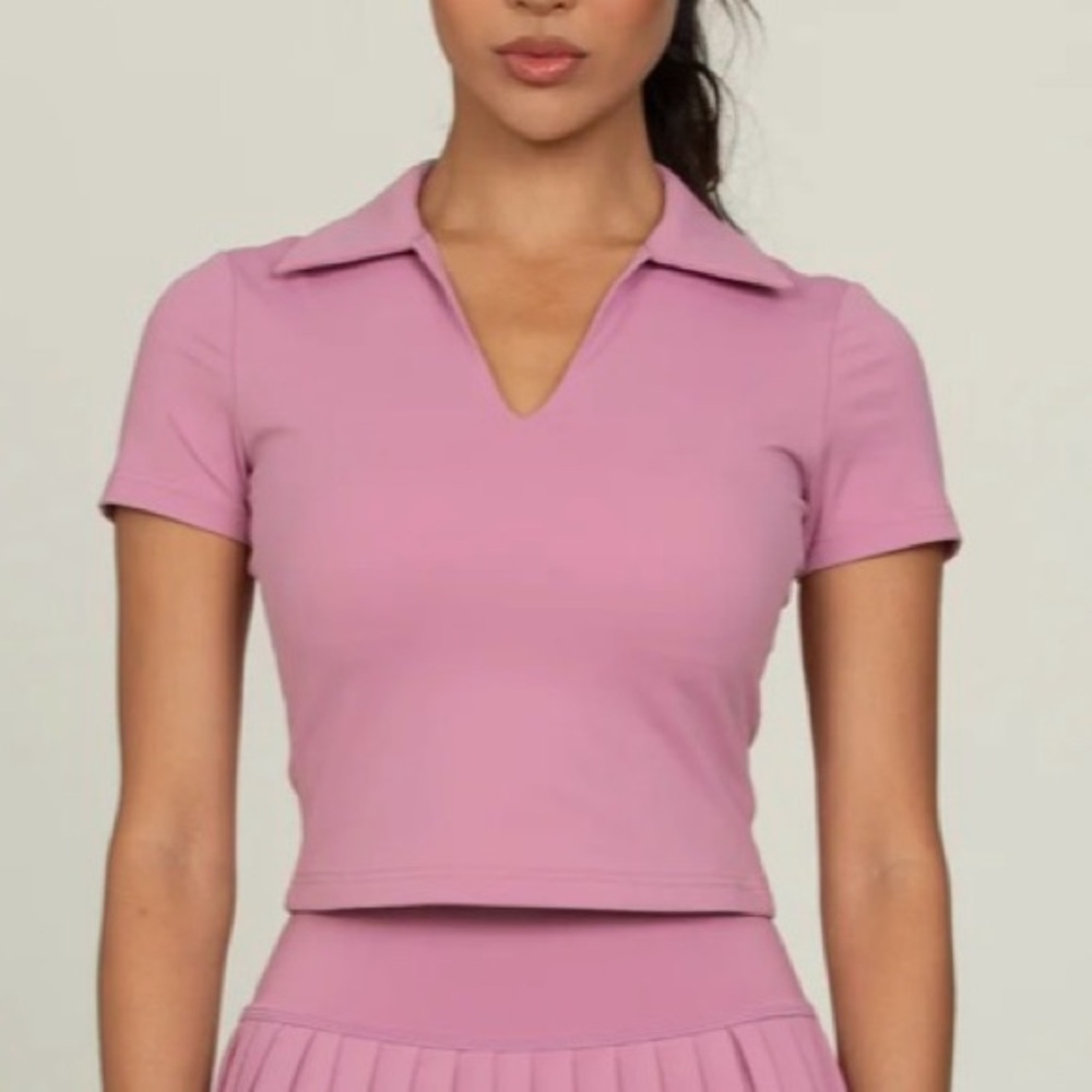 NWT Gold Hinge Pale Berry Preppy V-Neck Polo Top Size Small